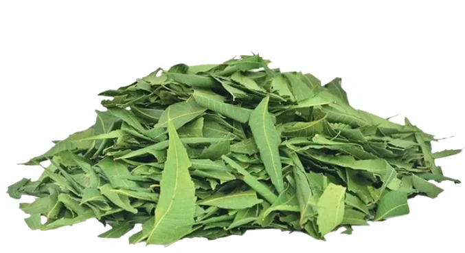 Neem Leaves